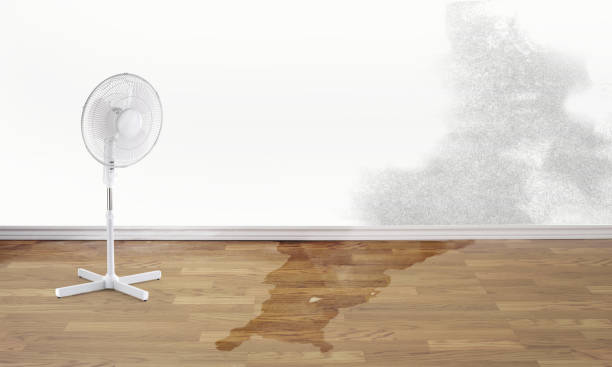 Best Water damage restoration near me  in West Conshohocken, PA