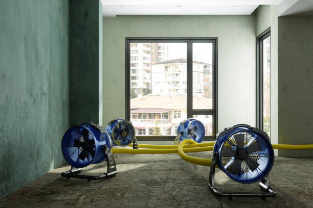 Best 24/7 water damage repair  in West Conshohocken, PA