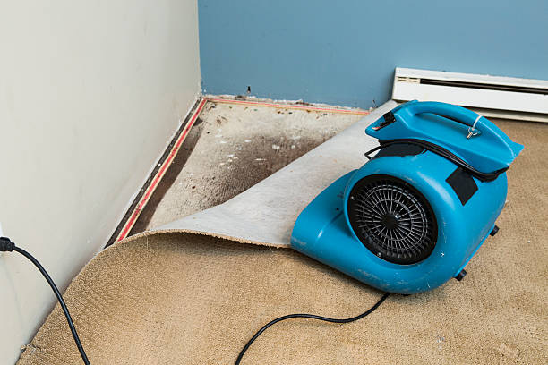 Best Local water damage restoration  in West Conshohocken, PA